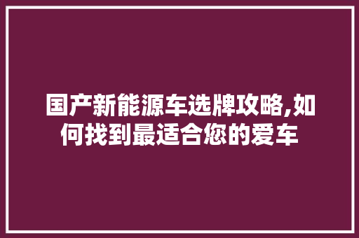 国产新能源车选牌攻略,如何找到最适合您的爱车