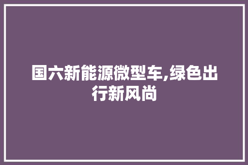 国六新能源微型车,绿色出行新风尚