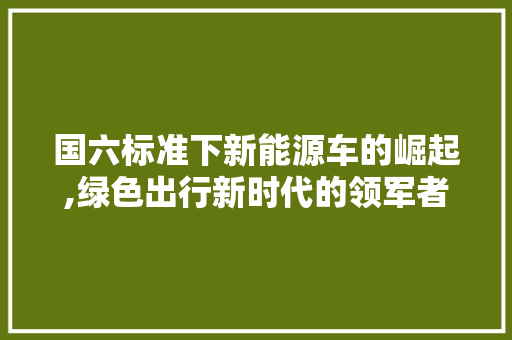 国六标准下新能源车的崛起,绿色出行新时代的领军者