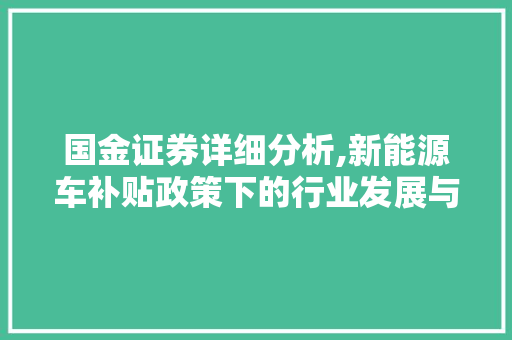 国金证券详细分析,新能源车补贴政策下的行业发展与机遇