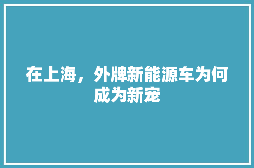 在上海，外牌新能源车为何成为新宠