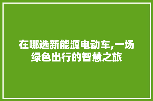 在哪选新能源电动车,一场绿色出行的智慧之旅
