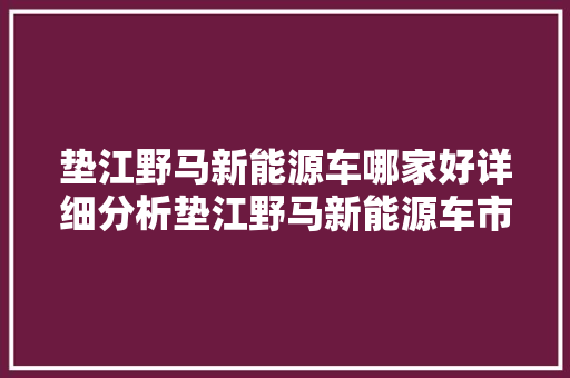 垫江野马新能源车哪家好详细分析垫江野马新能源车市场风云 底盘配件
