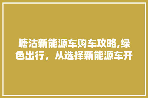 塘沽新能源车购车攻略,绿色出行，从选择新能源车开始