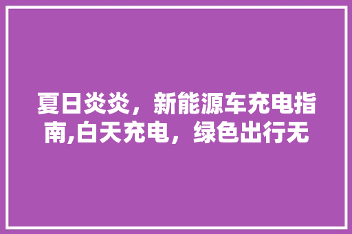 夏日炎炎，新能源车充电指南,白天充电，绿色出行无忧
