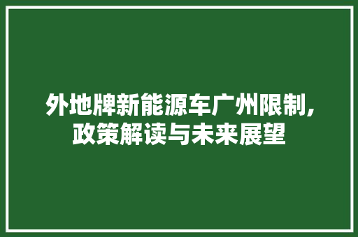 外地牌新能源车广州限制,政策解读与未来展望