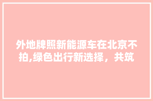 外地牌照新能源车在北京不拍,绿色出行新选择，共筑蓝天白云之城