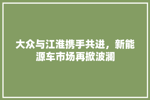 大众与江淮携手共进，新能源车市场再掀波澜
