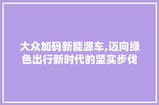 大众加码新能源车,迈向绿色出行新时代的坚实步伐