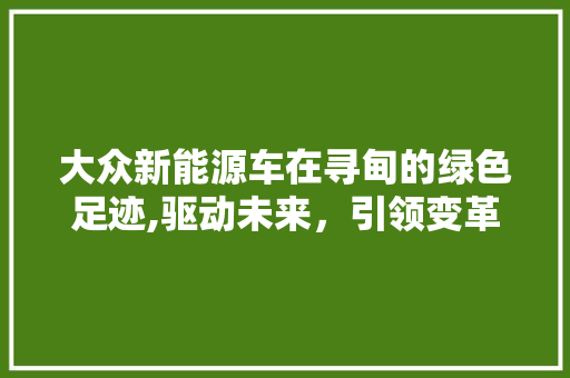 大众新能源车在寻甸的绿色足迹,驱动未来，引领变革