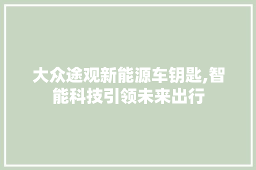 大众途观新能源车钥匙,智能科技引领未来出行
