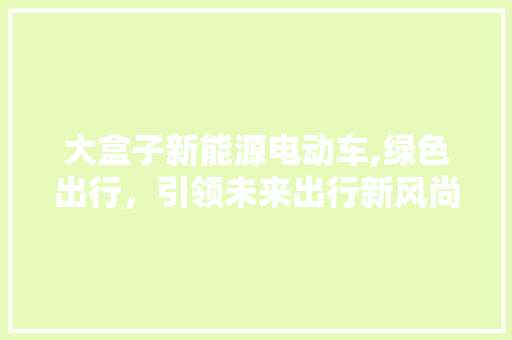大盒子新能源电动车,绿色出行，引领未来出行新风尚