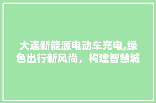 大连新能源电动车充电,绿色出行新风尚，构建智慧城市新蓝图
