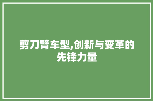 剪刀臂车型,创新与变革的先锋力量