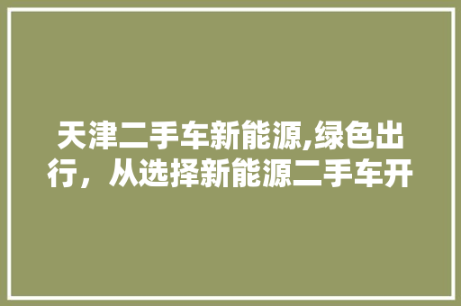 天津二手车新能源,绿色出行，从选择新能源二手车开始