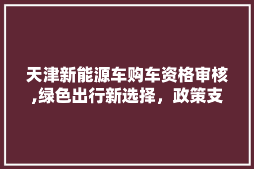 天津新能源车购车资格审核,绿色出行新选择，政策支持下的购车指南