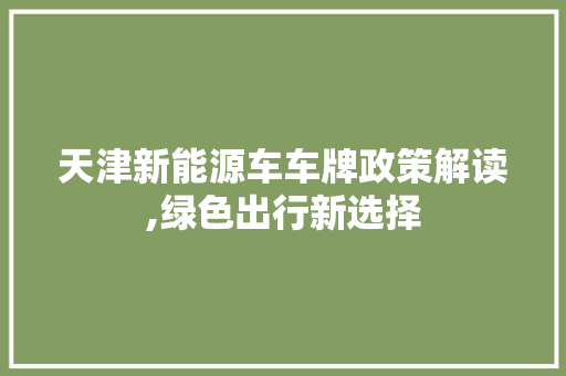 天津新能源车车牌政策解读,绿色出行新选择