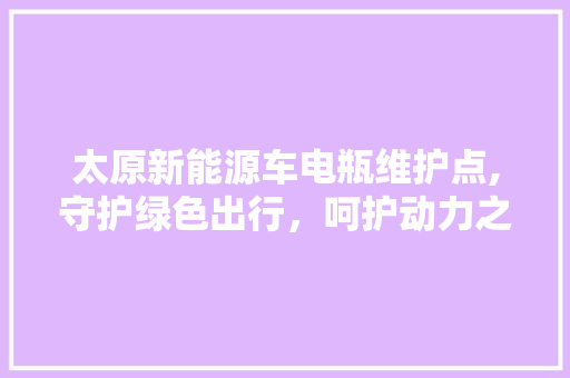 太原新能源车电瓶维护点,守护绿色出行，呵护动力之源