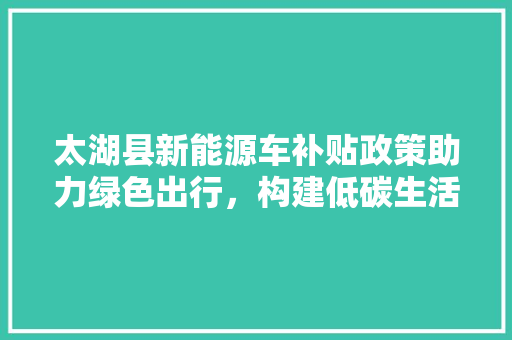 太湖县新能源车补贴政策助力绿色出行，构建低碳生活新篇章