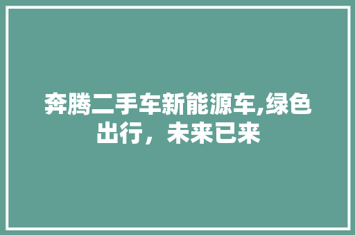奔腾二手车新能源车,绿色出行，未来已来