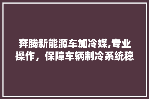 奔腾新能源车加冷媒,专业操作，保障车辆制冷系统稳定运行