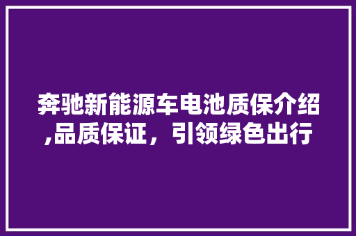 奔驰新能源车电池质保介绍,品质保证，引领绿色出行新潮流