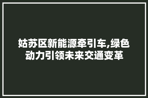 姑苏区新能源牵引车,绿色动力引领未来交通变革
