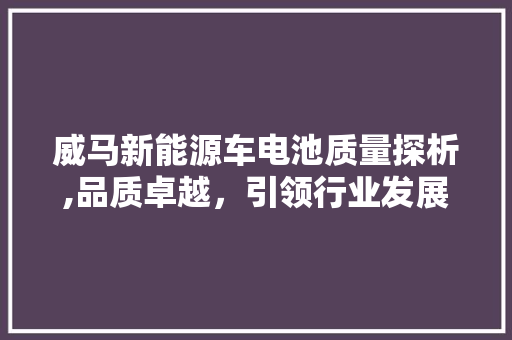 威马新能源车电池质量探析,品质卓越，引领行业发展