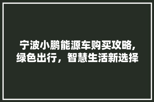 宁波小鹏能源车购买攻略,绿色出行，智慧生活新选择