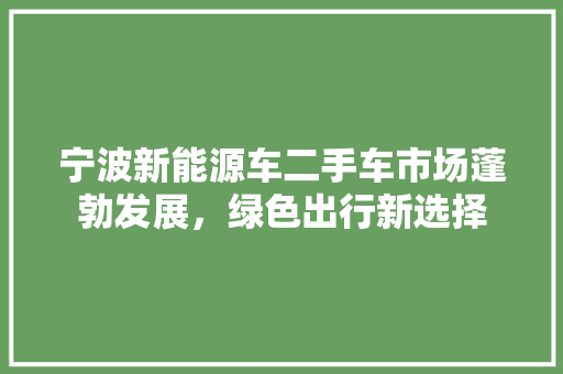 宁波新能源车二手车市场蓬勃发展，绿色出行新选择