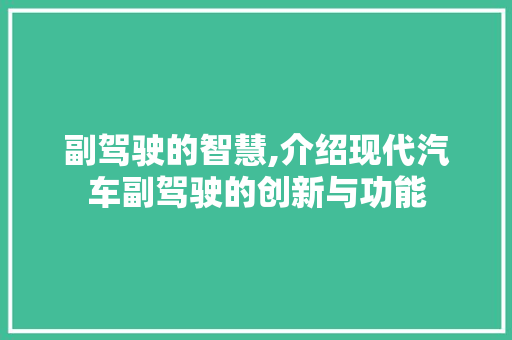 副驾驶的智慧,介绍现代汽车副驾驶的创新与功能