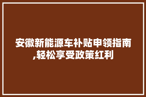 安徽新能源车补贴申领指南,轻松享受政策红利