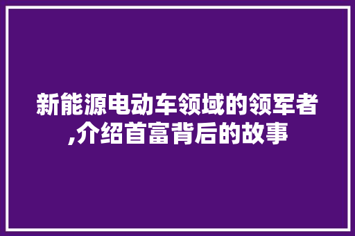 新能源电动车领域的领军者,介绍首富背后的故事