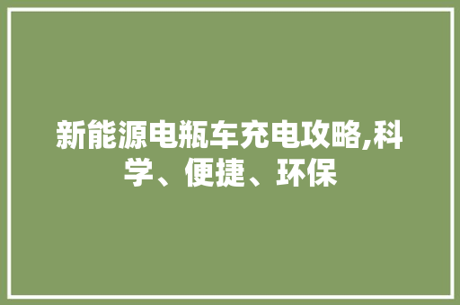 新能源电瓶车充电攻略,科学、便捷、环保