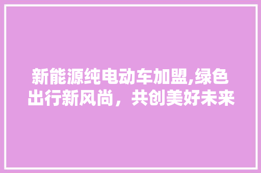 新能源纯电动车加盟,绿色出行新风尚，共创美好未来