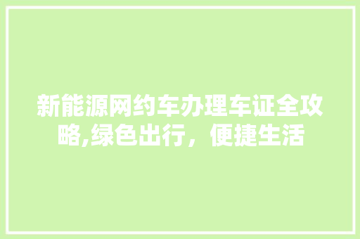 新能源网约车办理车证全攻略,绿色出行，便捷生活