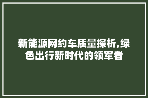 新能源网约车质量探析,绿色出行新时代的领军者