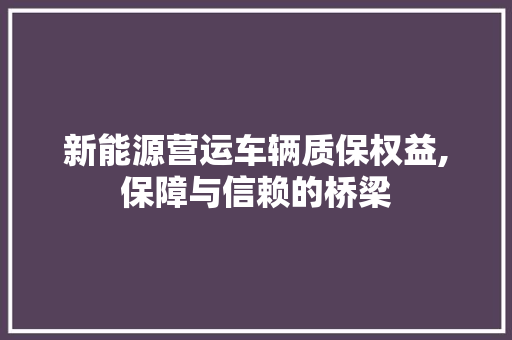新能源营运车辆质保权益,保障与信赖的桥梁