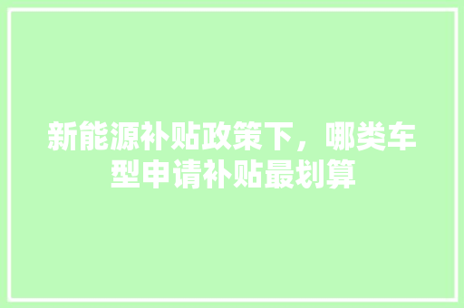 新能源补贴政策下，哪类车型申请补贴最划算