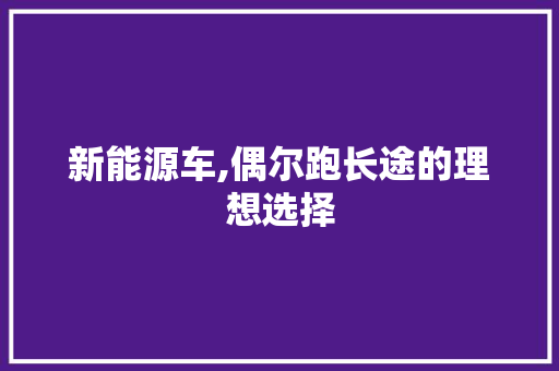 新能源车,偶尔跑长途的理想选择
