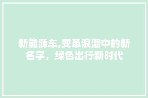 新能源车,变革浪潮中的新名字，绿色出行新时代