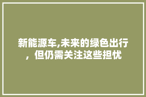 新能源车,未来的绿色出行，但仍需关注这些担忧 车灯配件