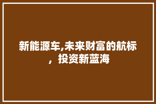 新能源车,未来财富的航标，投资新蓝海 蓄电池配件