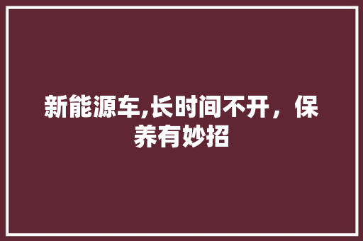 新能源车,长时间不开，保养有妙招