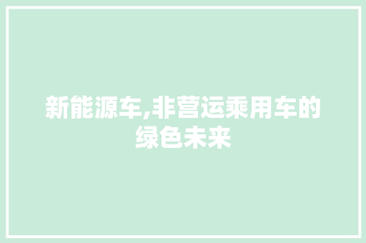 新能源车,非营运乘用车的绿色未来
