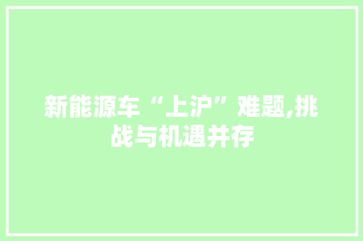 新能源车“上沪”难题,挑战与机遇并存