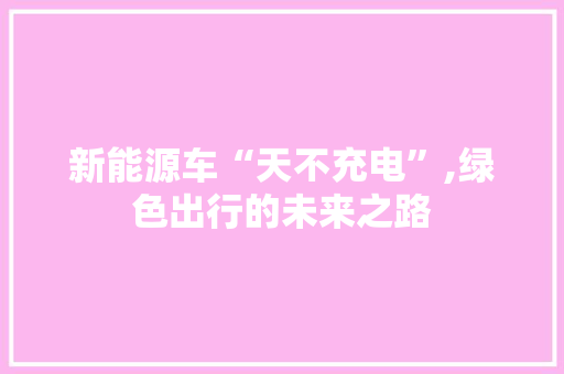 新能源车“天不充电”,绿色出行的未来之路