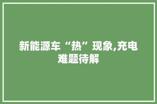 新能源车“热”现象,充电难题待解