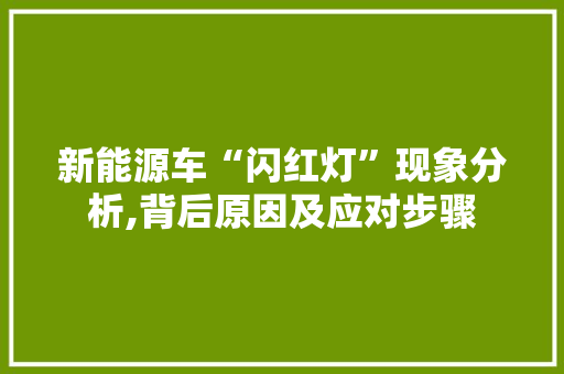 新能源车“闪红灯”现象分析,背后原因及应对步骤