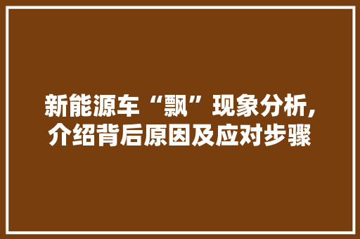 新能源车“飘”现象分析,介绍背后原因及应对步骤